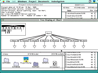 NUD*IST 6 Interface