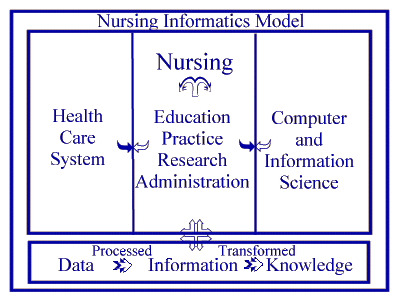 Computer Information Systems And Nursing Practice