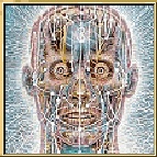 Visionary Art of Alex Grey