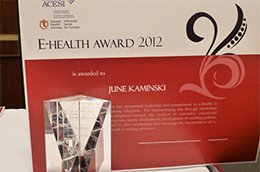 Nursing Faculty e-Health Award
