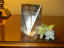 Nursing Faculty E-Health Award 2012