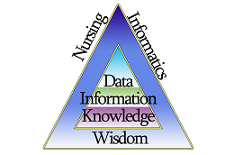 NI Data Pyramid