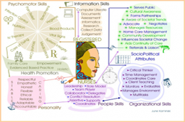 Nursing Roles Map