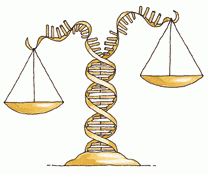 Online Research Ethics