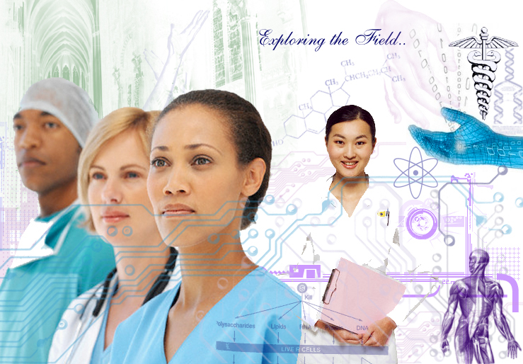 A Revealing of Nursing Informatics