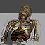 Virtual Human Gallery